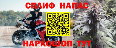 СК Балашиха