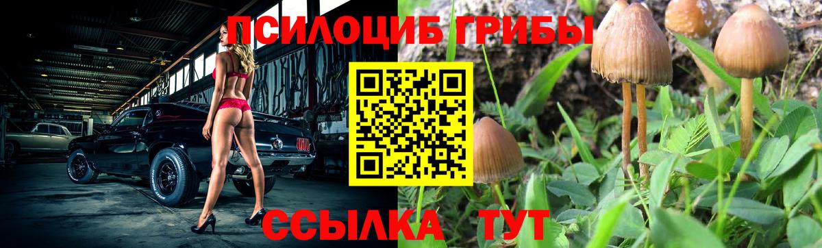 Галлюциногенные грибы MAGIC MUSHROOMS Гагарин