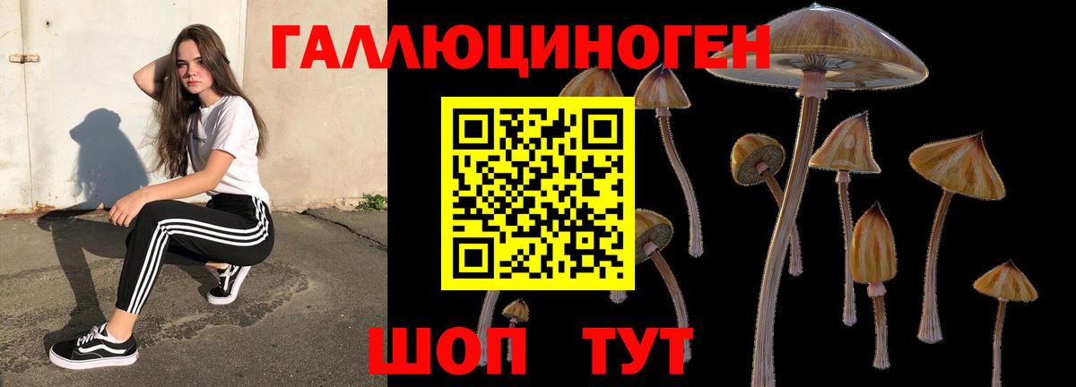 Гагарин  Псилоцибиновые грибы Psilocybe  Вход с VPN 